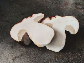 High angle view of shells