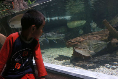 Boy in fish tank at aquarium