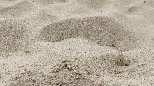 High angle view of footprints on sand