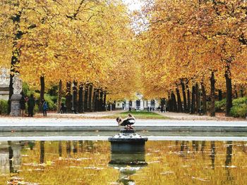 Man swimming in lake at park during autumn