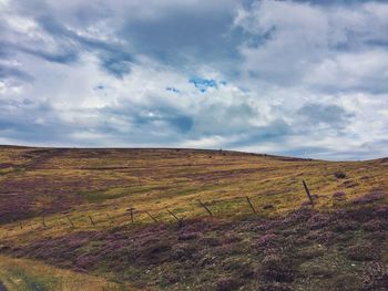 Scenic view of field against sky