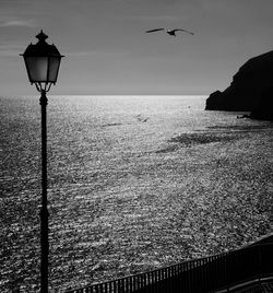 Seagull flying over sea against sky