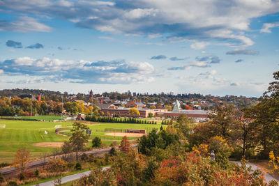 Scenic view of trees growing on field against sky