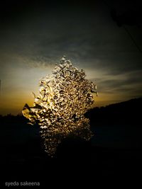 Close-up of illuminated tree against sky at sunset