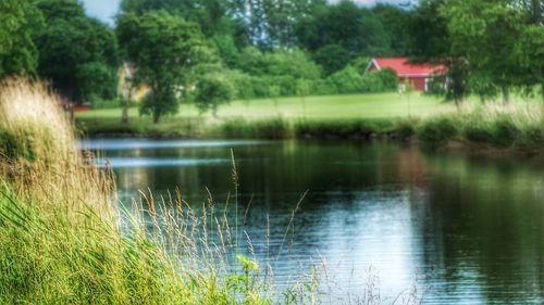 Scenic view of lake with trees reflection