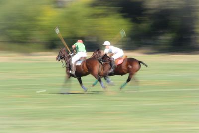 Man riding horse on field