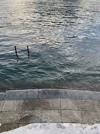 High angle view of bird flying over sea