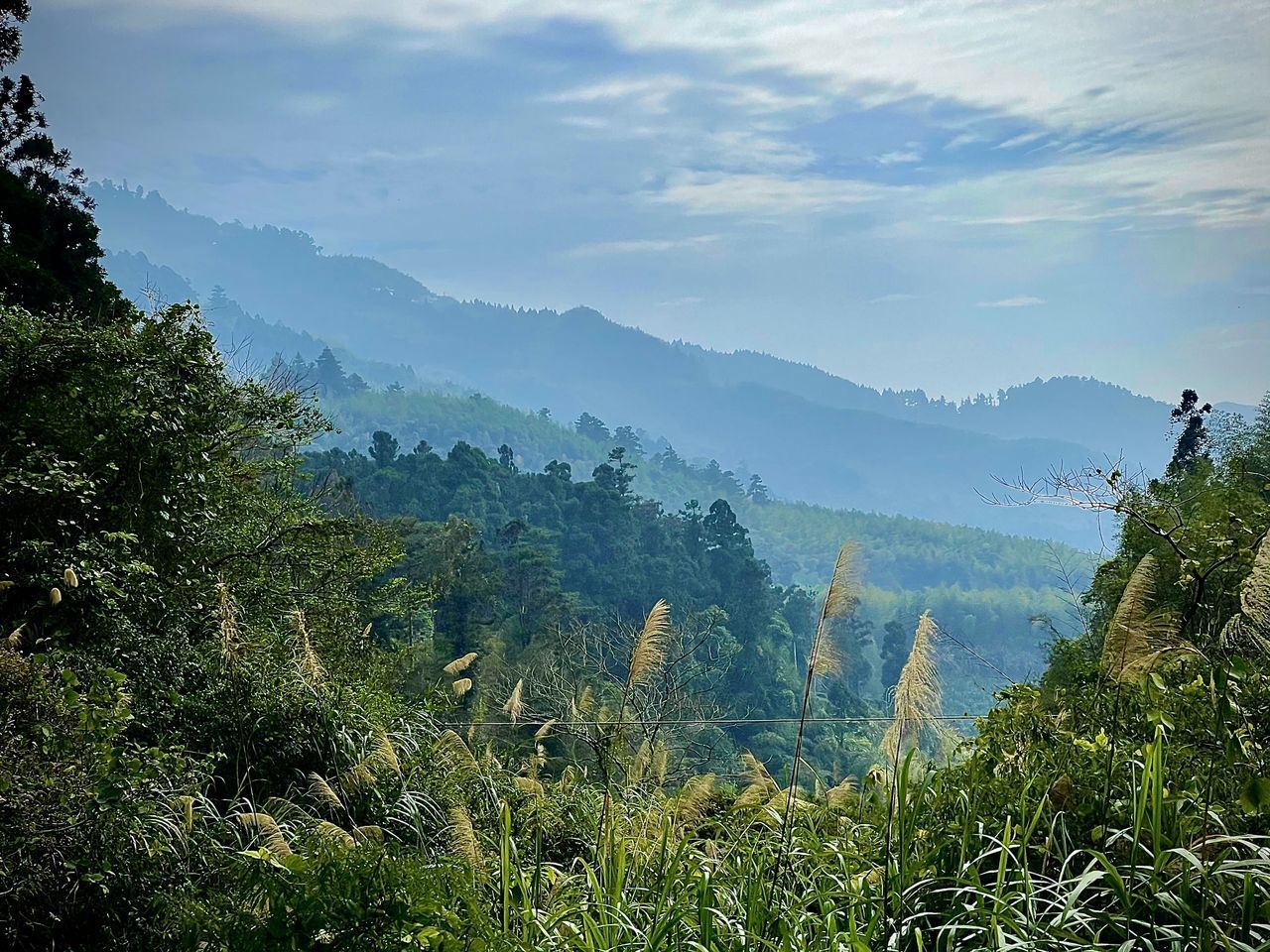 SCENIC VIEW OF TREES AND MOUNTAINS AGAINST SKY