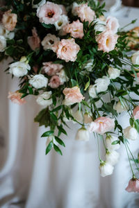 Close-up of white flowers