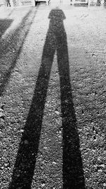 Shadow of people on road