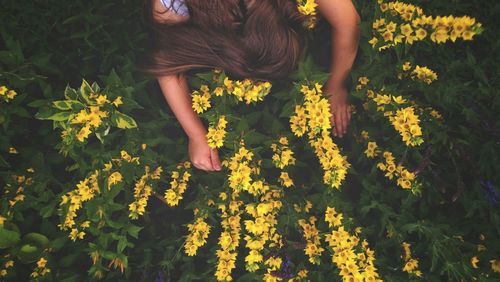 High angle view of woman by yellow flowering plants