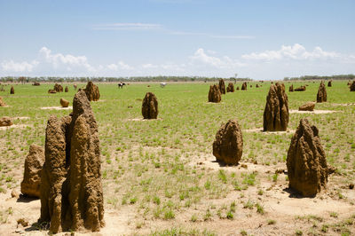 Hay bales on field against sky