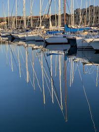 Sailboats moored in marina