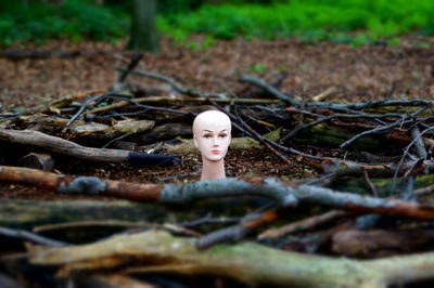 Close-up of female bust on field