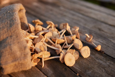 Close-up of wood