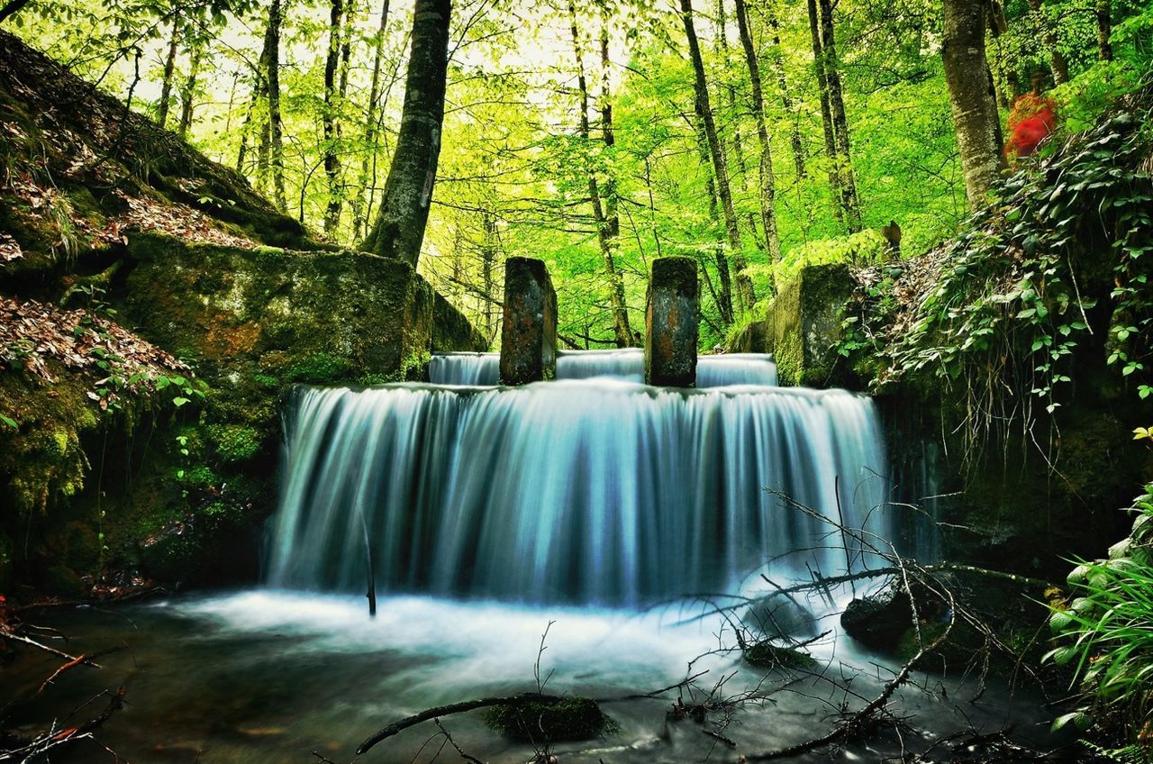 tree, waterfall, flowing water, forest, water, long exposure, flowing, motion, beauty in nature, scenics, nature, growth, tranquility, green color, tranquil scene, tree trunk, day, idyllic, blurred motion, outdoors