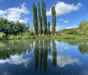 Reflection of trees in lake against sky