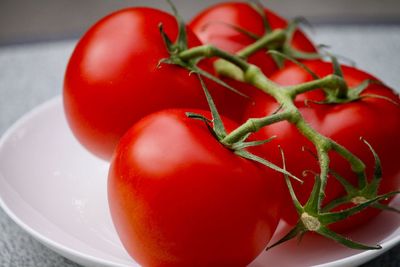 Close-up of tomatoes in plate on table