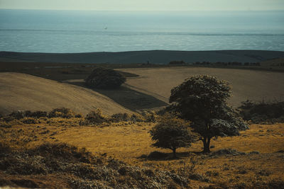 Scenic view of landscape against sky