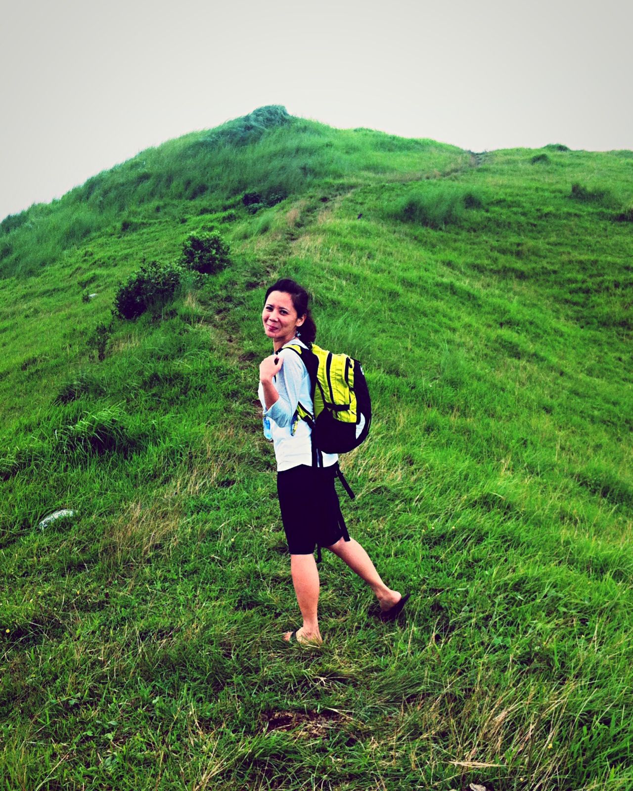 Gulugod Baboy