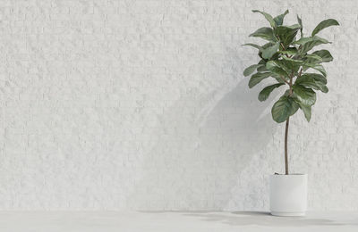 Potted plant on table against wall at home