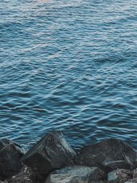 High angle view of rocks at sea