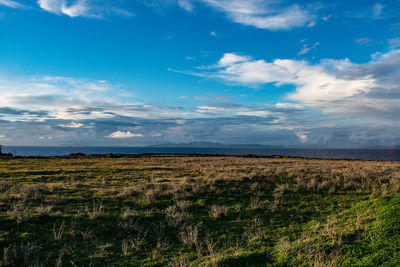 Scenic view of field against sky