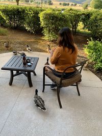 Rear view of woman sitting on bench in park