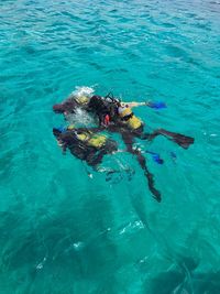 High angle view of people scuba diving in sea