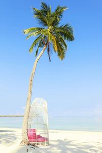 White tropical chair under palm trees on perfect tropical beach, tropical holiday concept , maldives