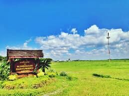 Old barn on field against sky