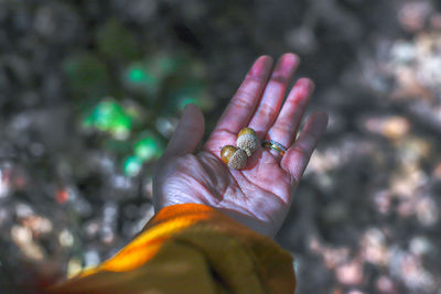 Close-up of hand holding leaf