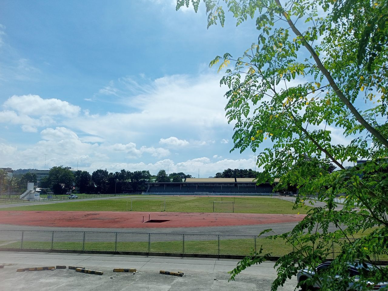 plant, tree, sports, grass, sky, sport venue, cloud, nature, day, no people, green, outdoors, lawn, playing field, environment, baseball field, architecture