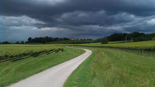 Scenic view of road and agricultural field against sky