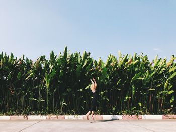 People in farm against clear sky