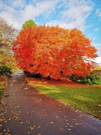 Road amidst trees against sky during autumn