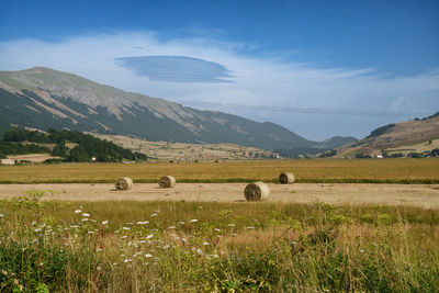 Scenic view of field against sky