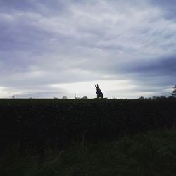 Silhouette man standing on field against sky