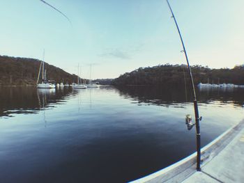 Reflection of trees in lake