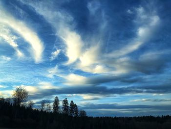 Low angle view of trees against dramatic sky