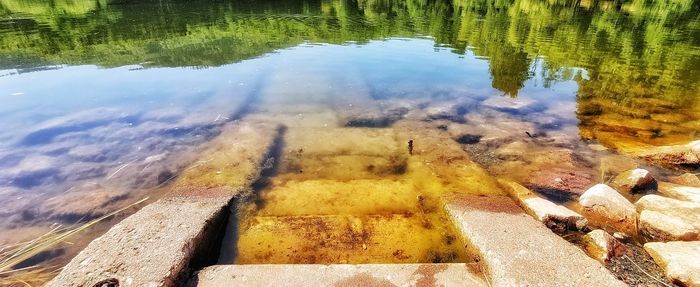 High angle view of lake amidst trees