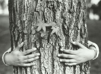 Close-up of hand holding plant against tree trunk