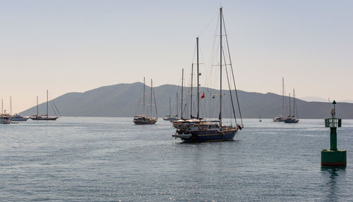 Charteryacht in the harbor of bodrum on the island turkey