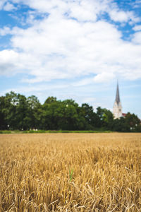 Scenic view of field against sky