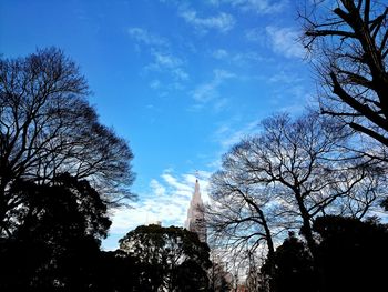 Low angle view of bare trees against blue sky