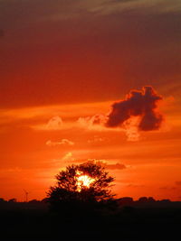 Silhouette trees against dramatic sky during sunset