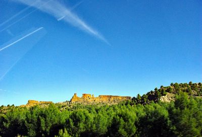 Scenic view of trees against clear blue sky