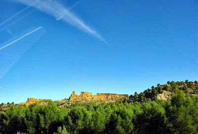 Scenic view of trees against clear blue sky