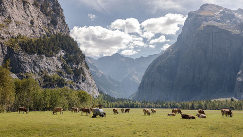 Scenic view of landscape against sky