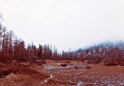 Scenic view of snowy landscape against clear sky